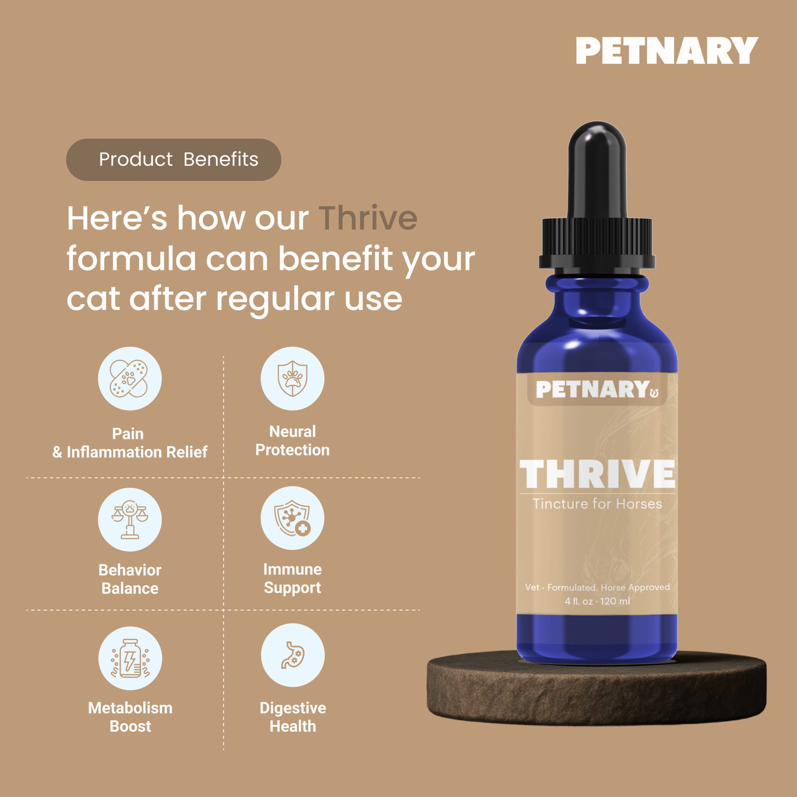 Benifits_Horse Benifits_Horse