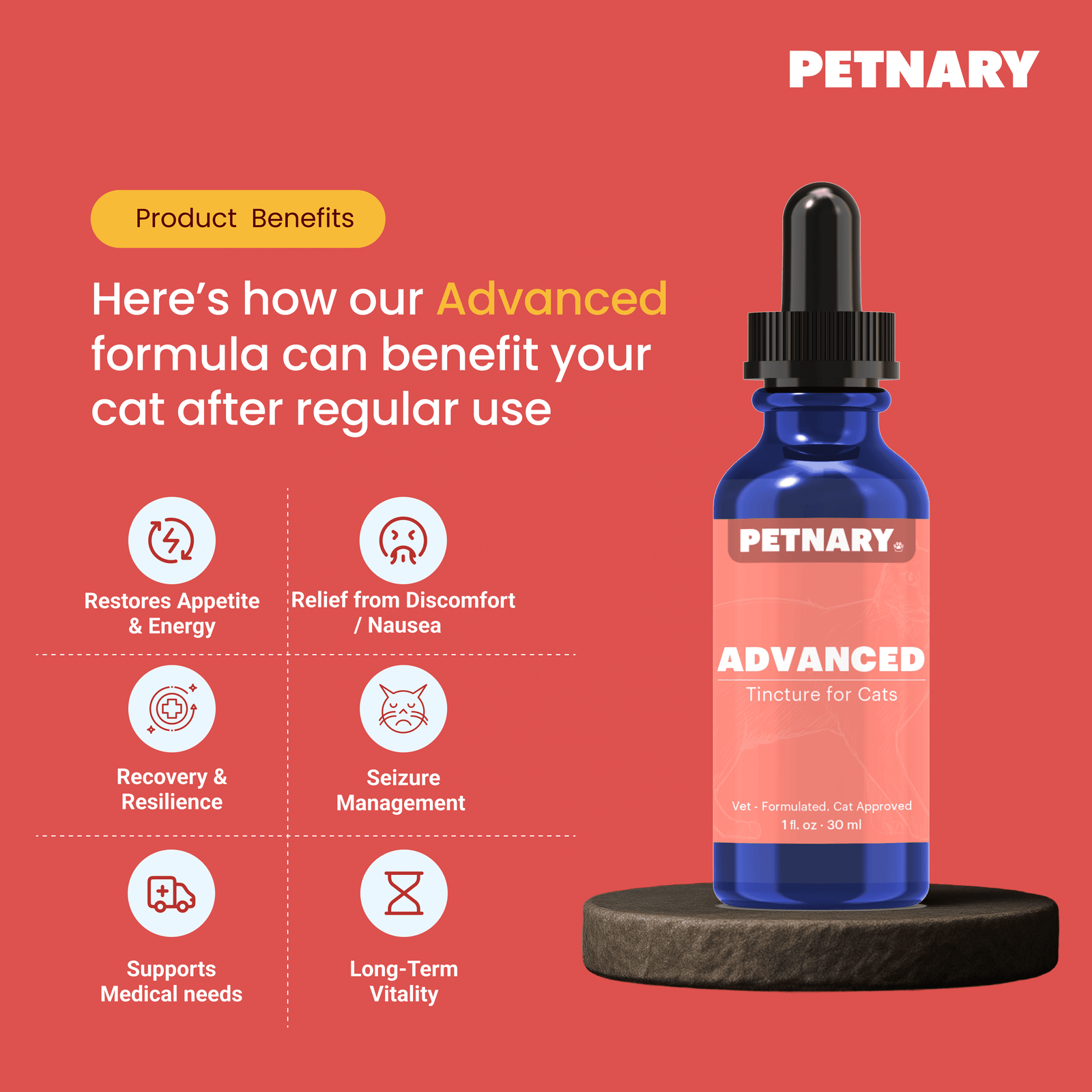 Cat-Advnace-1-advanced